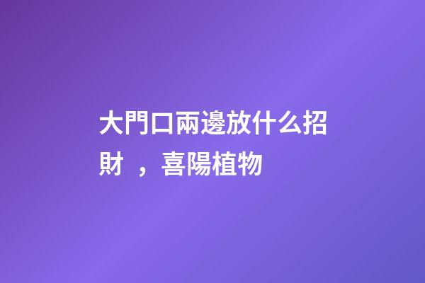 大門口兩邊放什么招財，喜陽植物